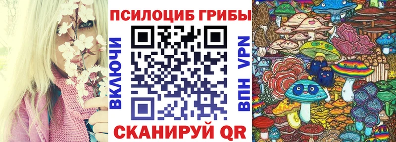 Псилоцибиновые грибы MAGIC MUSHROOMS  мега зеркало  Бежецк 