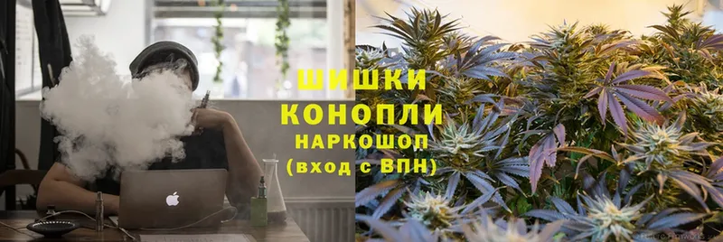 хочу наркоту  Бежецк  Бошки марихуана сатива 